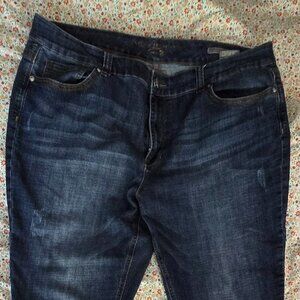 Melissa McCarthy Seven7 Dark Wash Girlfriend Jeans